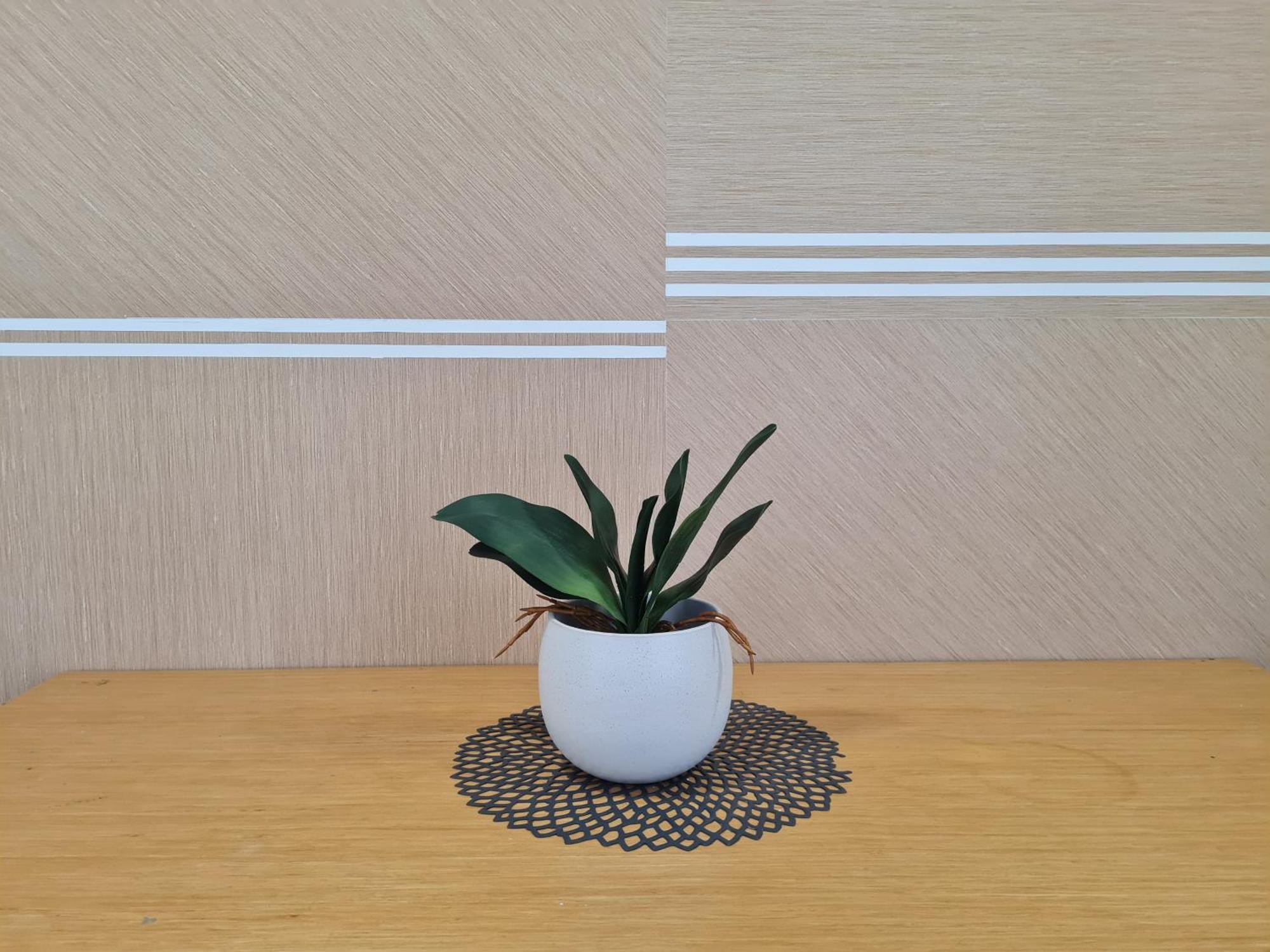 Solstice Service Apartment Cyberjaya Wifi Netflix Klia 部屋 写真